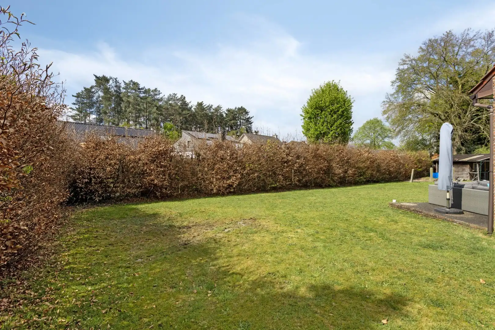 Onderkelderde woning met 4 slpks op 899 m² in een doodlopende straat te OLV Olen ! foto 37