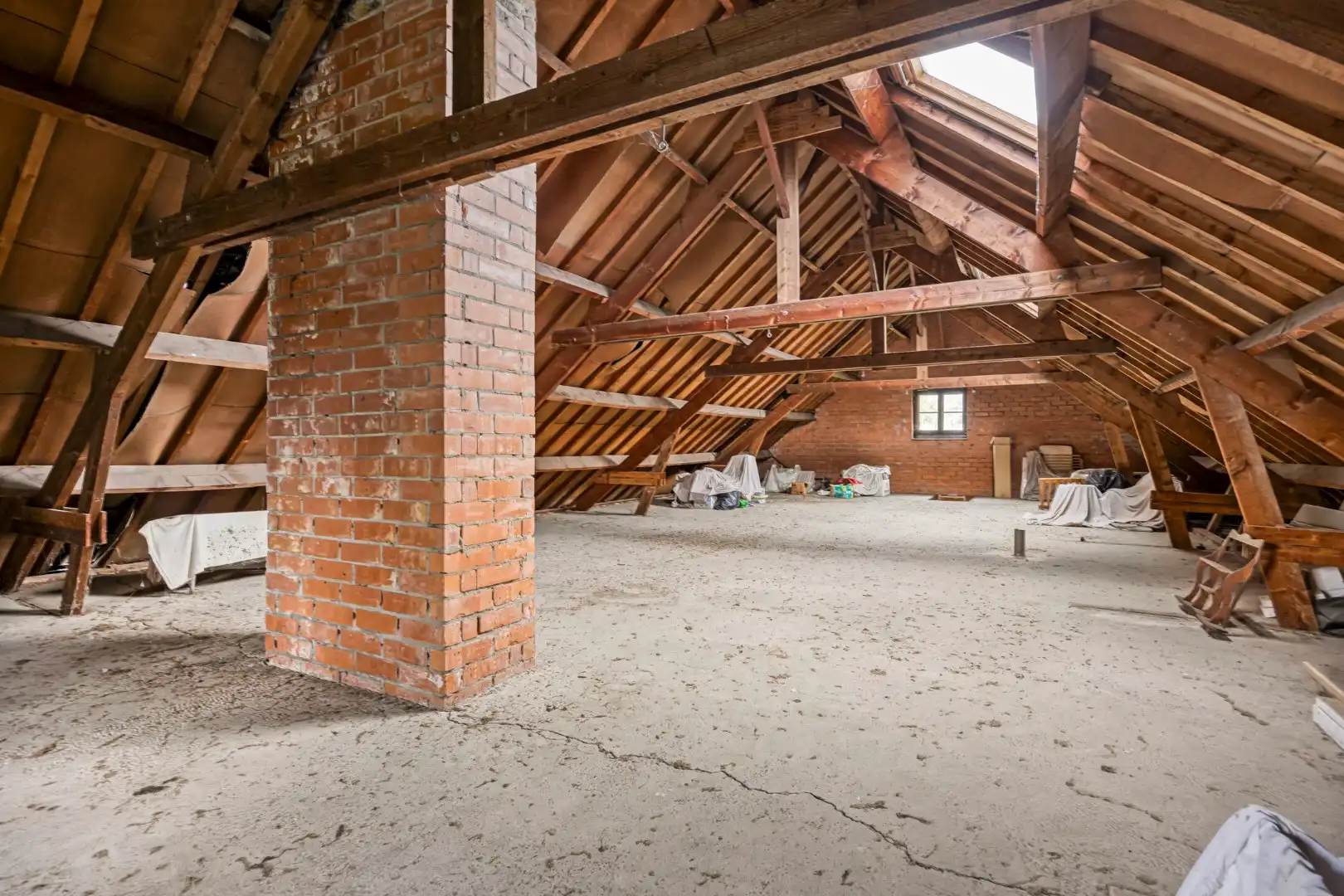 Op te frisse woning met 3 slaapkamers op 1.441 m² te Retie !  foto 19