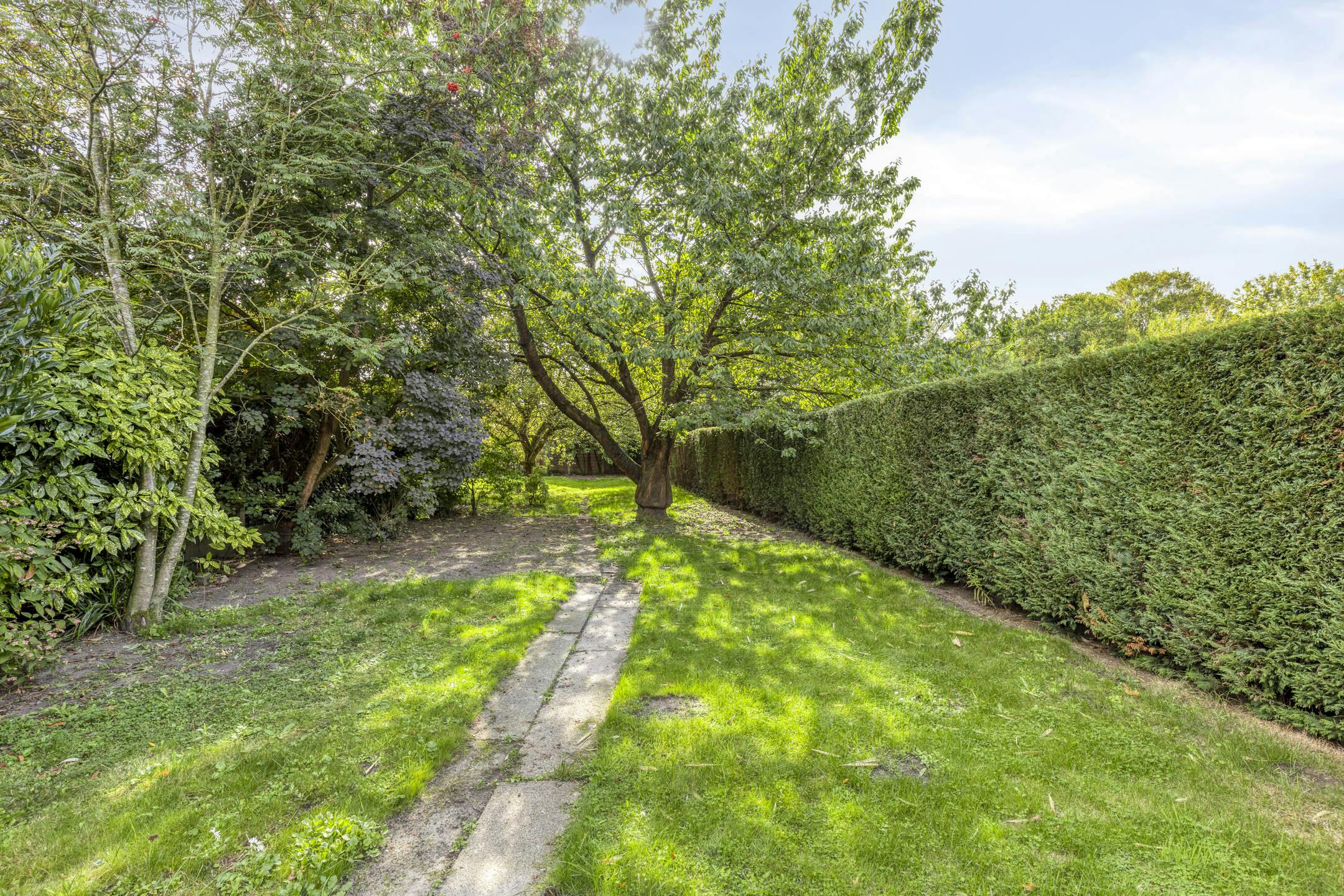 Ruime woning met tuin & potentieel in hartje Landegem foto 15