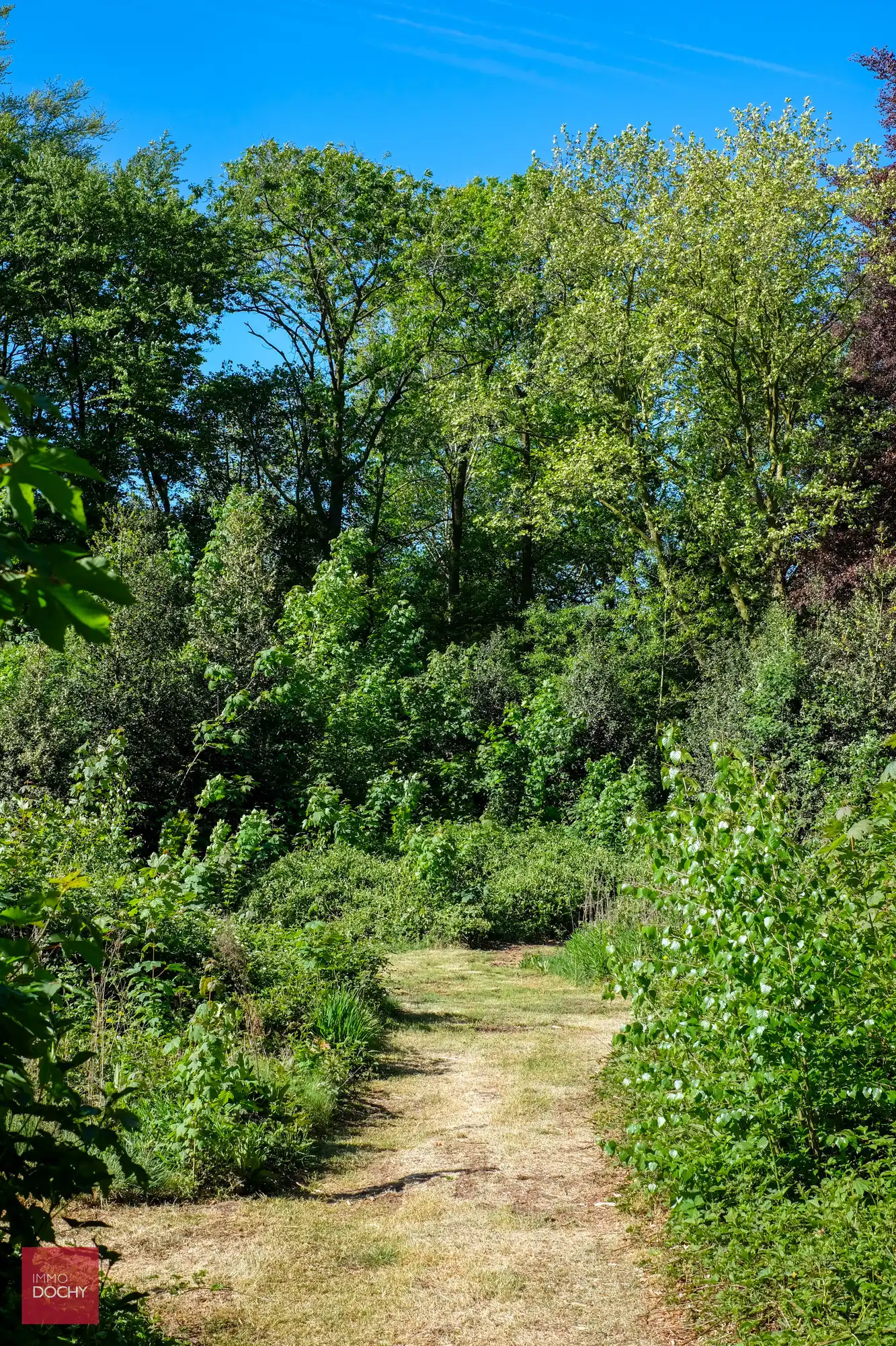 Uniek domein met ruime villa in prachtige parktuin op 2,7ha foto 9