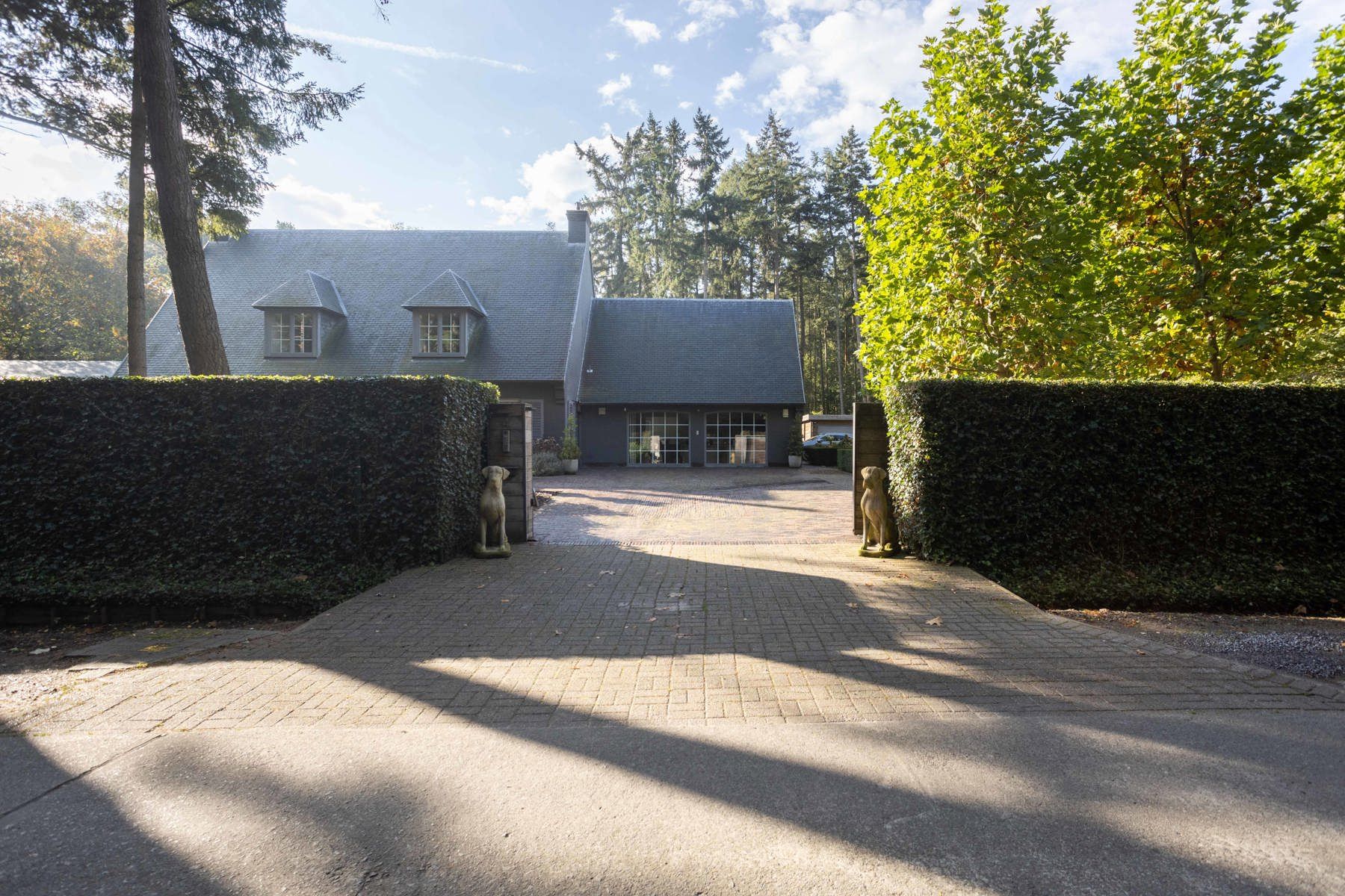 Buitengewoon aanbod - exclusieve villa in Tillegembos foto 5