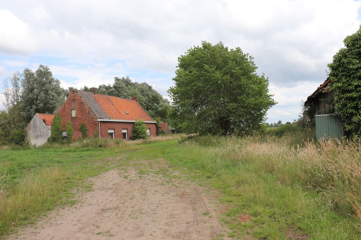 Mooi gelegen te verbouwen hoevetje te koop te Lievegem op 6.000 m² foto 2