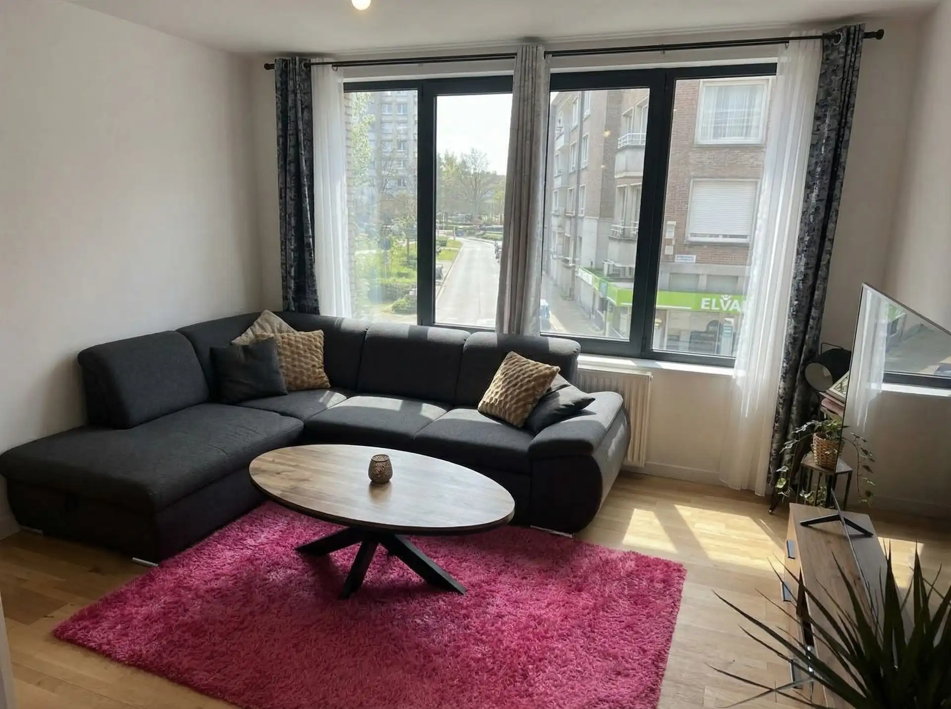 Hoofdfoto van de publicatie: Stadswoning in Antwerpen – Boomsesteenweg