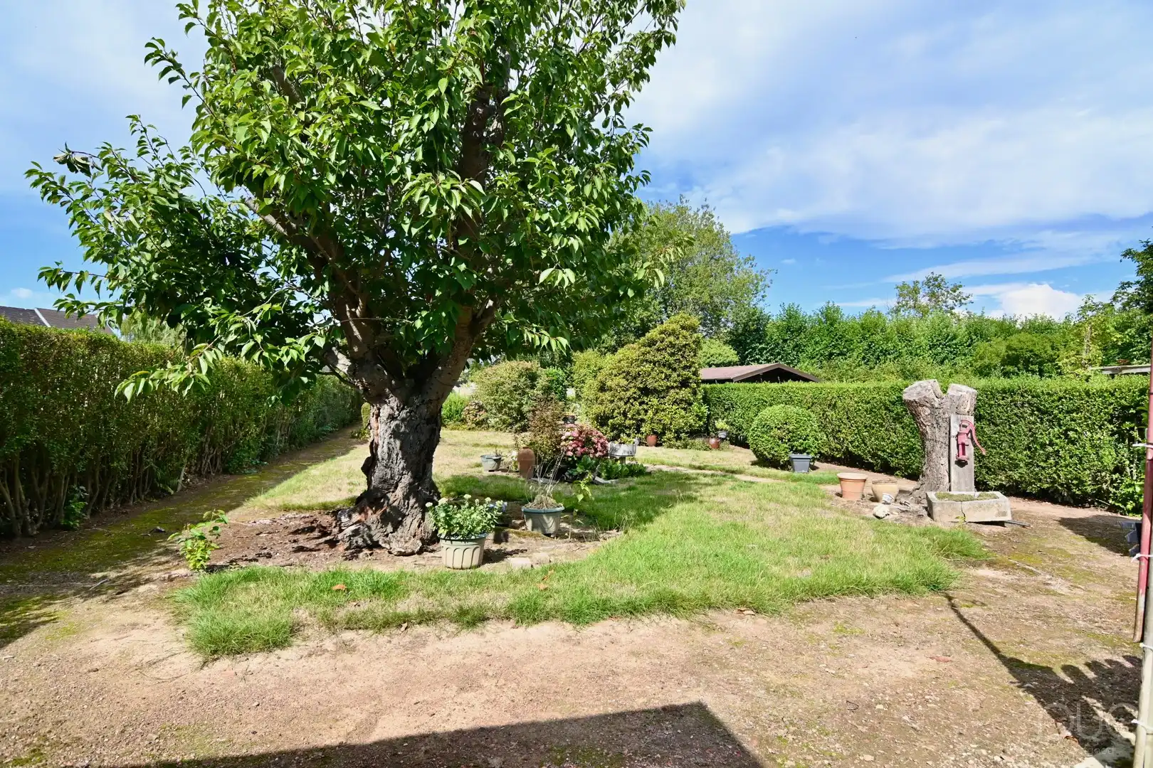 Ruime halfopen gezinswoning met prachtige westgerichte tuin foto 2
