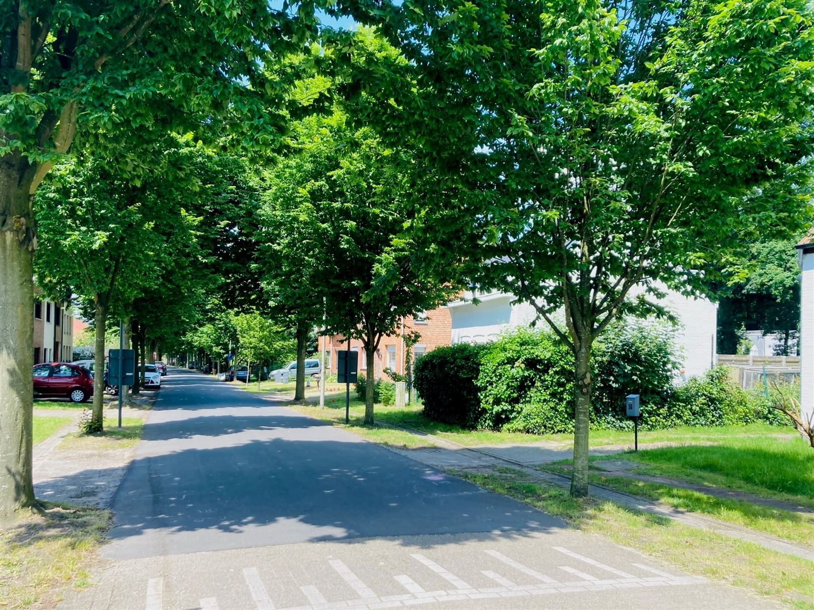 Nieuwbouw in rustig groen kader foto 2