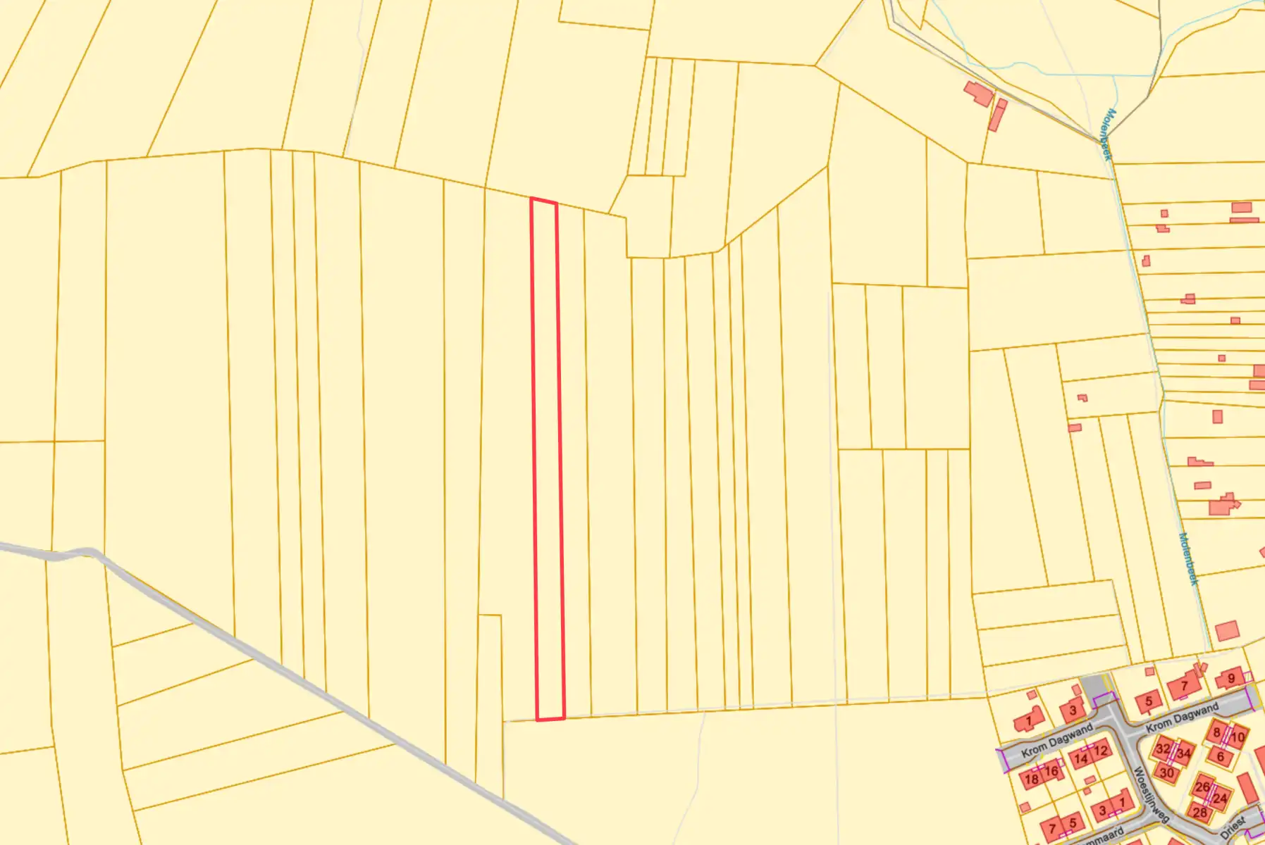 LANDBOUWGROND TE KOOP REGIO ASSE foto 3