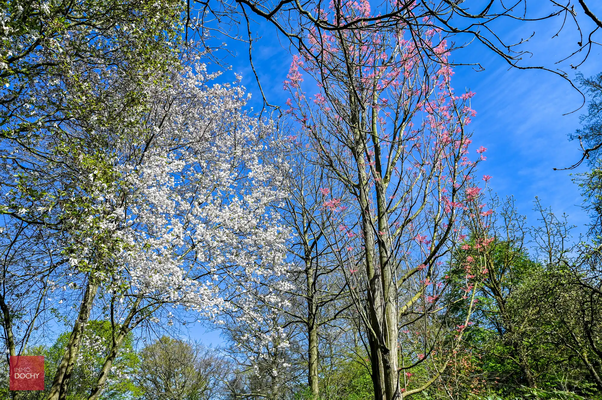 Zeer goed onderhouden manoir met een  unieke parktuin foto 15