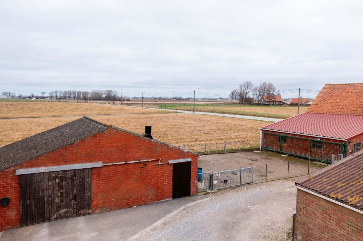 Varkensbedrijf te koop te Leisele foto 4