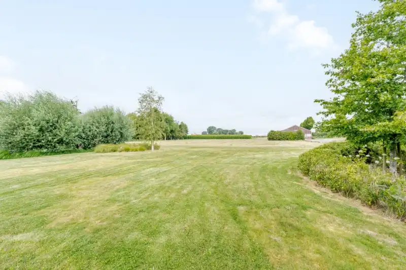 Woning met loods op 13.656m² foto 15