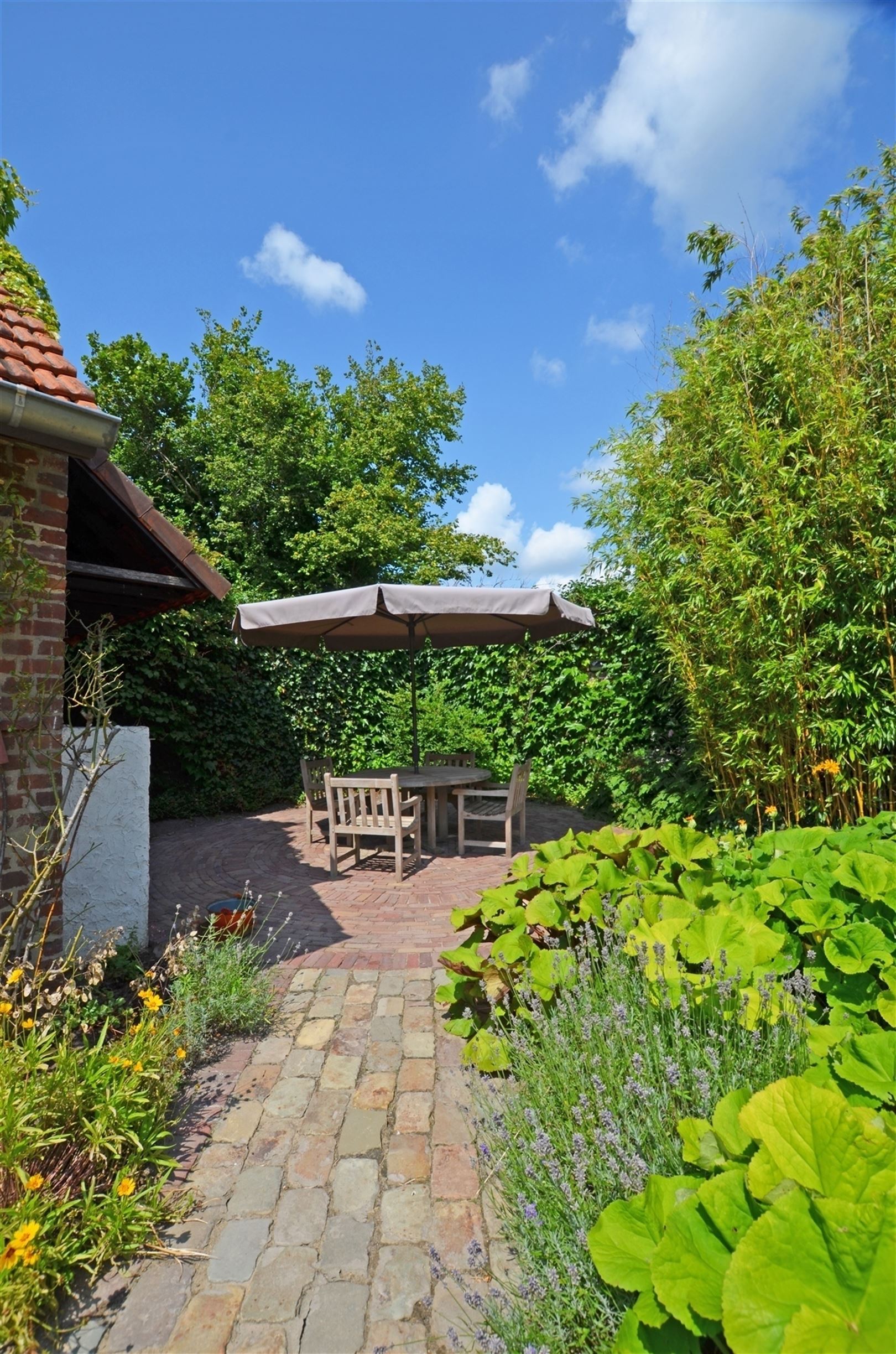 Landelijk gelegen vierkantshoeve op ±1.4Ha foto 37