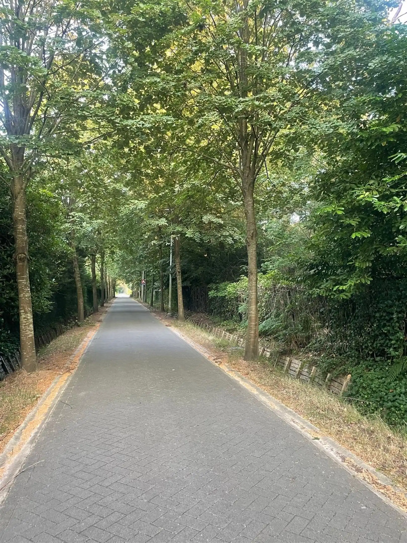 Open bouwgrond van ca. 3.755 m² foto 12