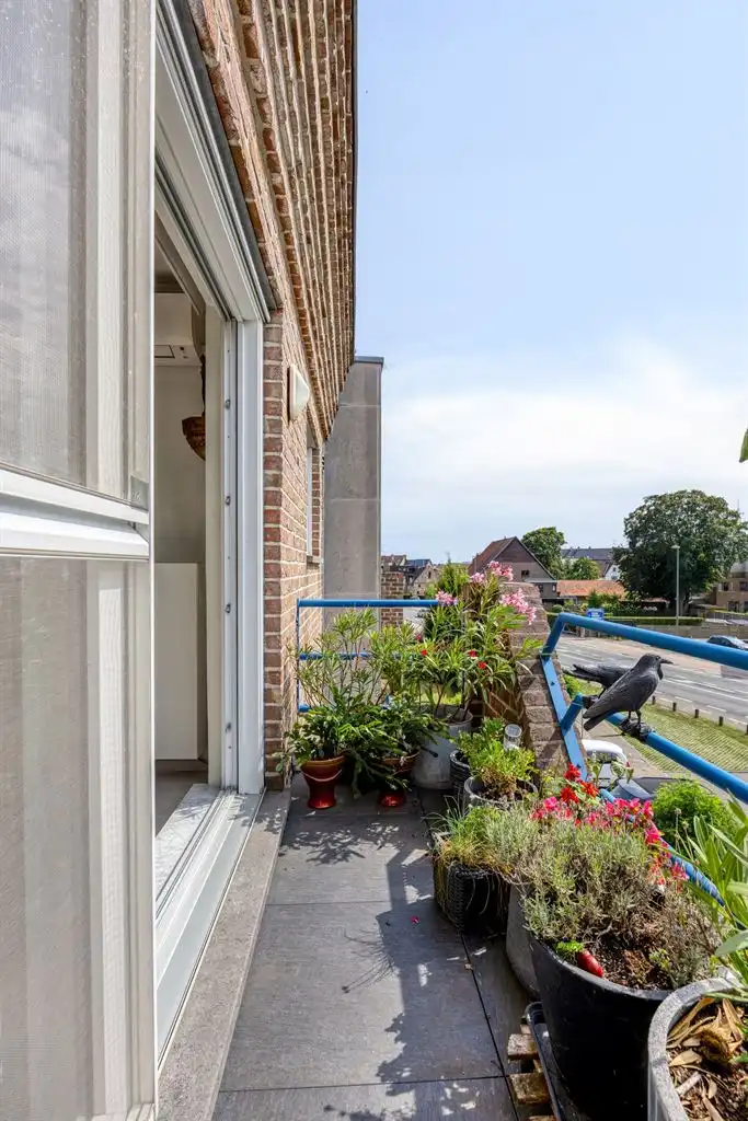 Ruim, gerenoveerd 2-slaapkamer appartement met terras, garagebox en aparte berging, gelegen vlak bij het centrum van Maaseik. foto 5