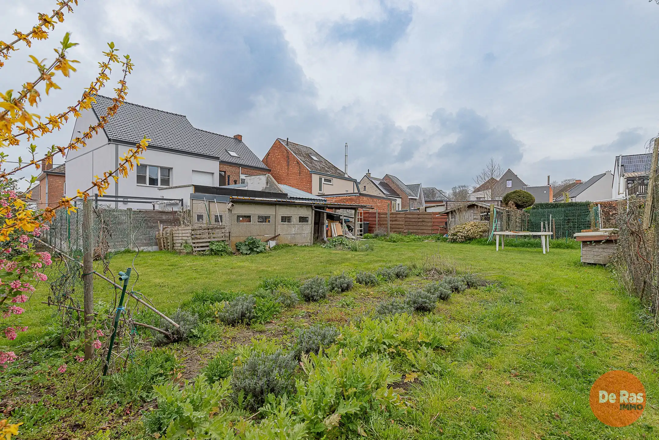 LEDE – Solide woning met uitzonderlijke tuin op toplocatie  foto 12