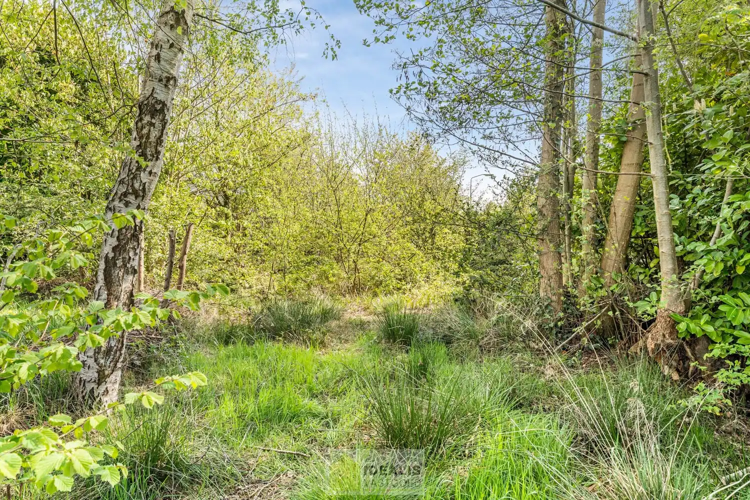 IDEALIS VASTGOED – Goed onderhouden en aangename gelijkvloerse woning met 2 slaapkamers op een prachtig, ruim en uiterst breed perceel foto 32