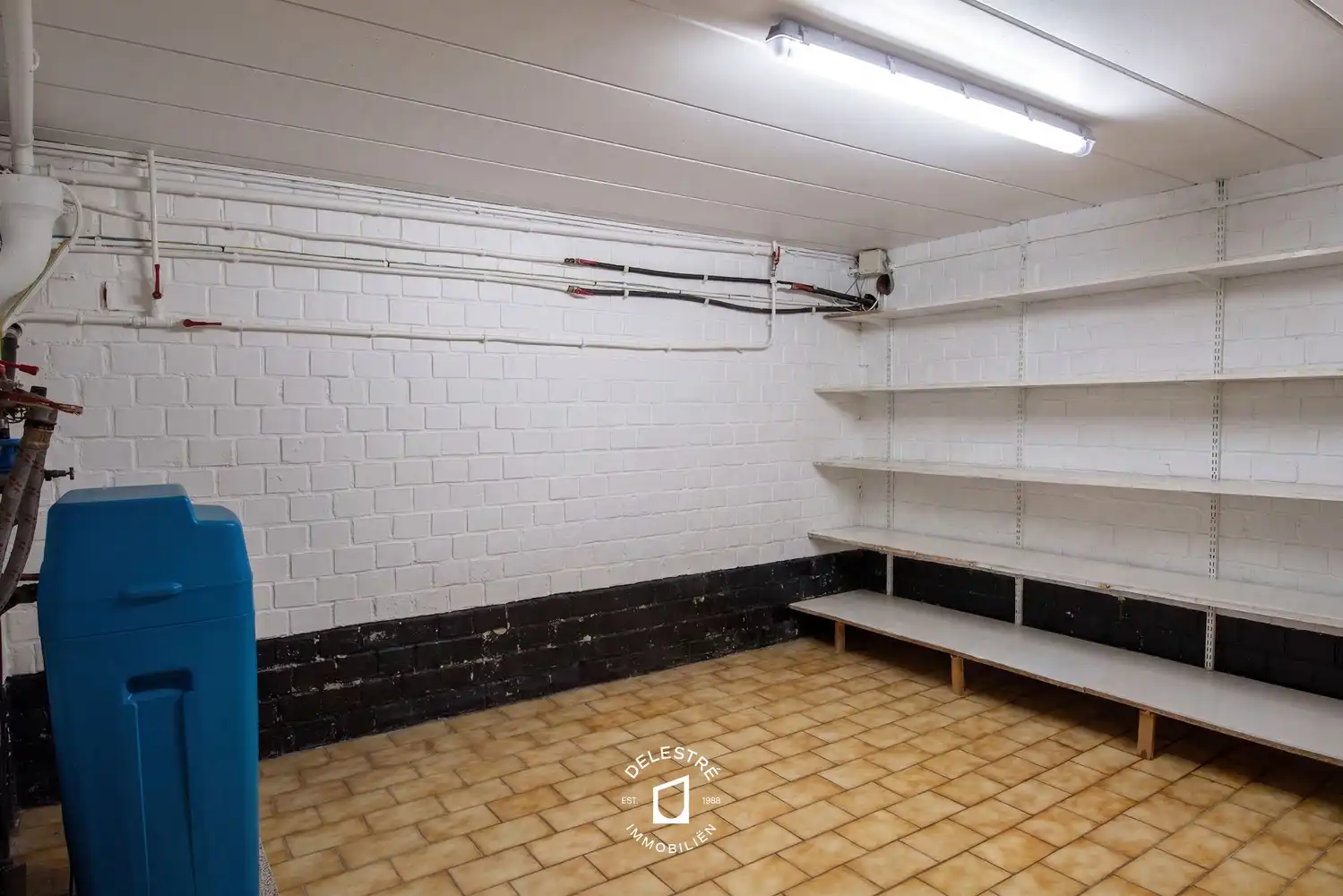 Unieke eigendom met villa, zalige tuin, werkplaats en talrijke mogelijkheden in Okegem foto 29