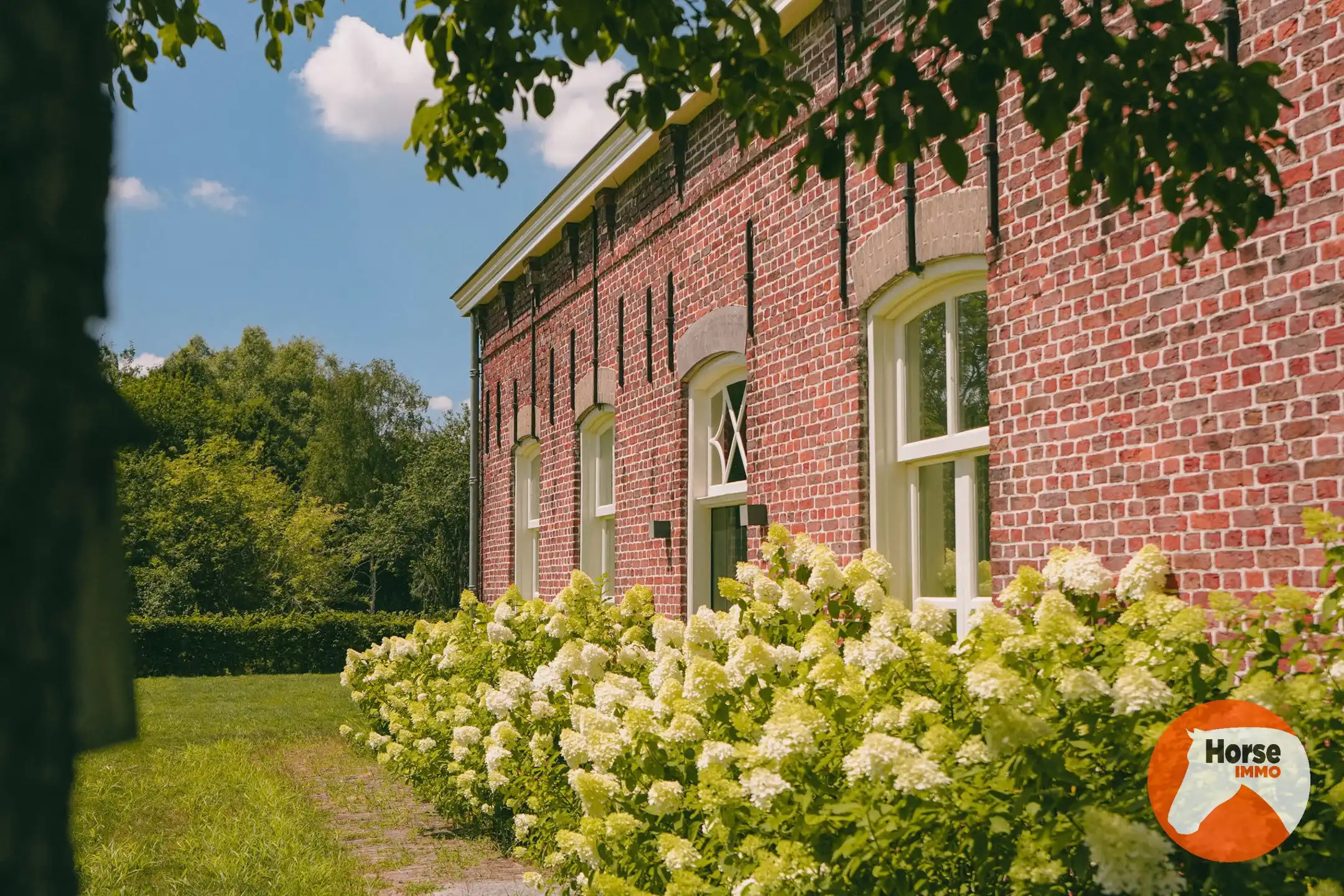 AXEL - Hoeve op een goede locatie met paardenfaciliteiten foto 7