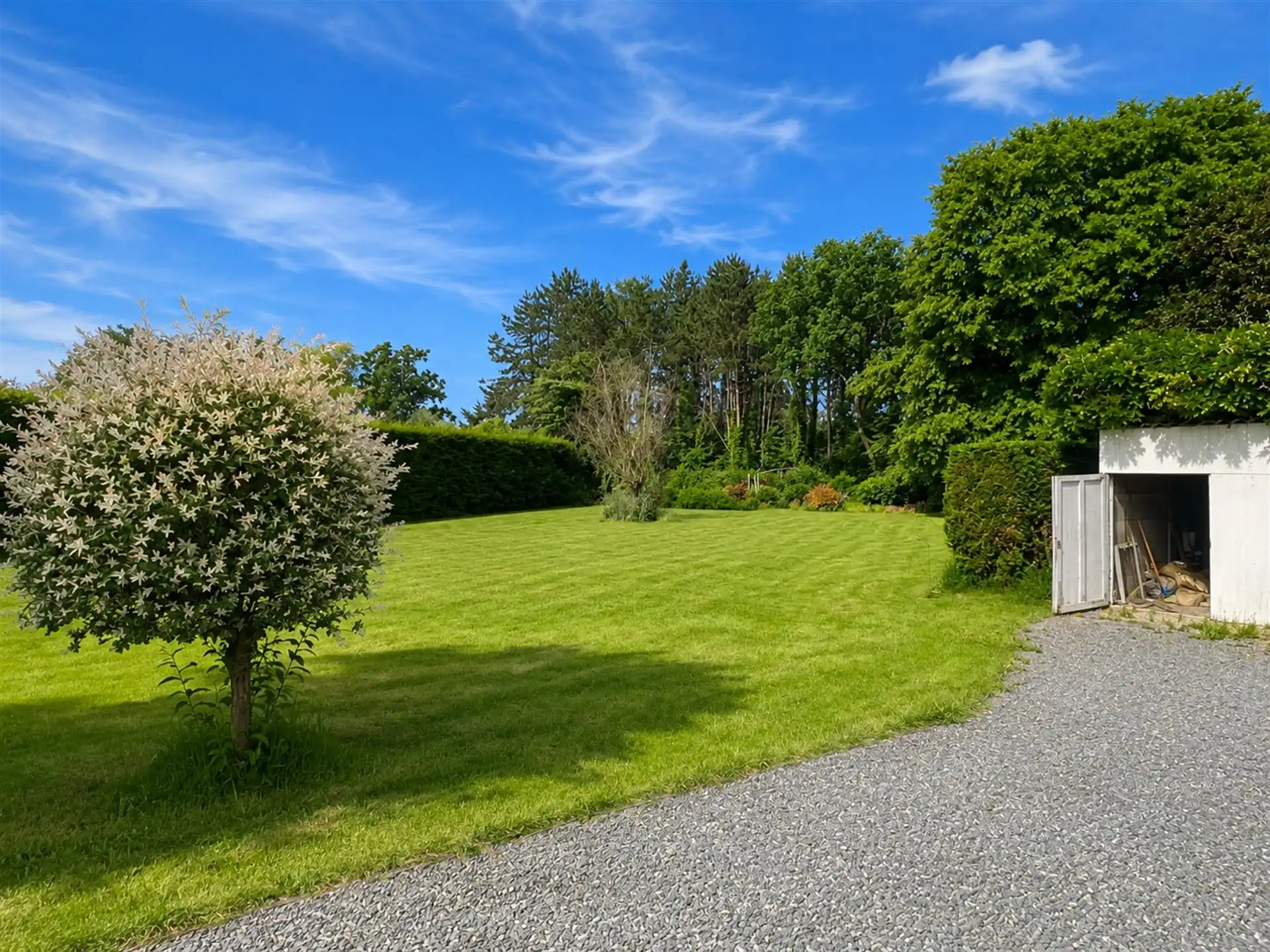 Te renoveren villa op een perceel van 2.059 m²! foto 3