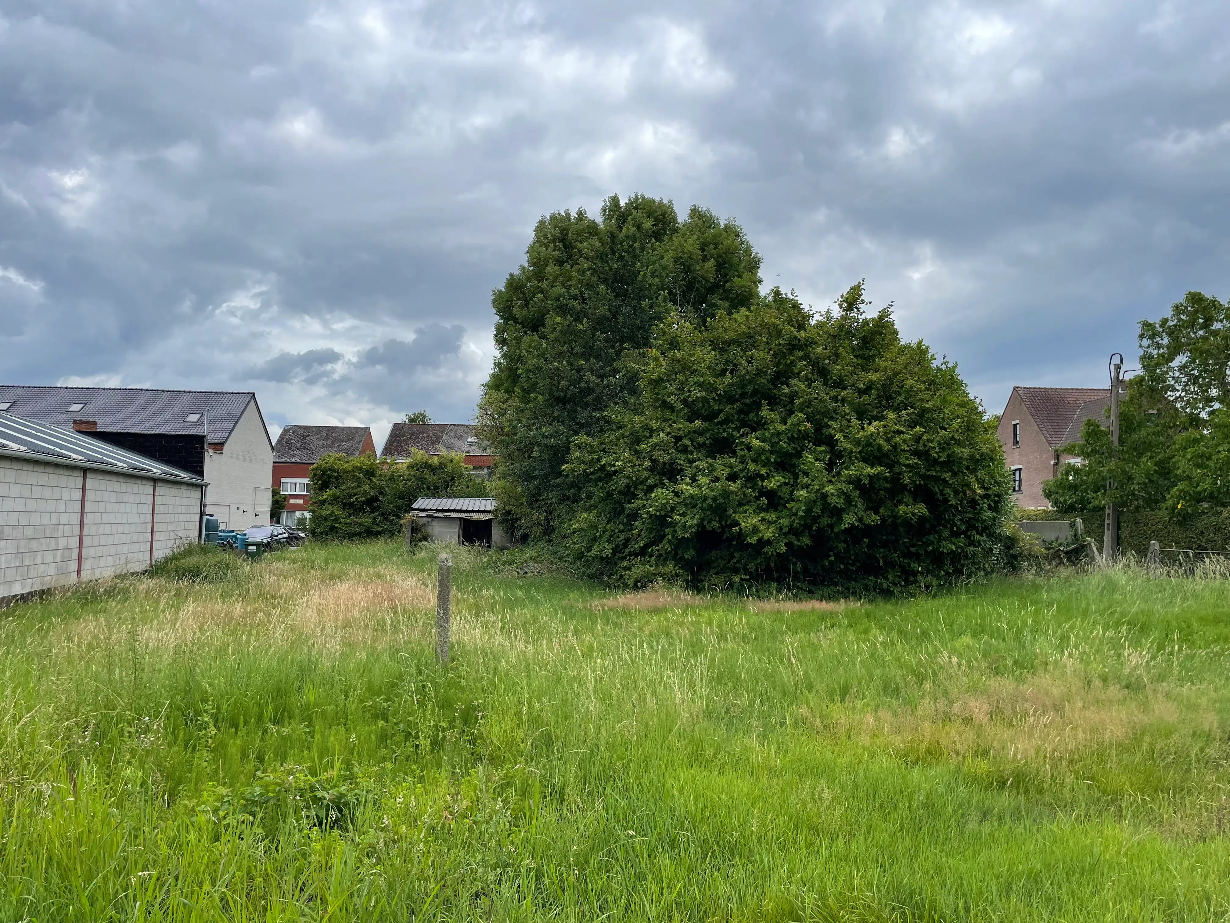 Prachtig gel projectgr 1626m² foto 4