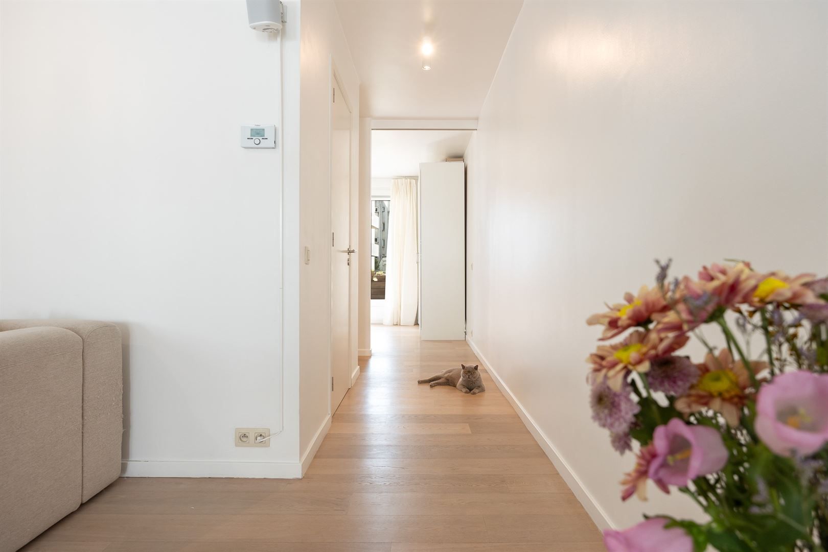 Modern appartement met terrassen foto 11