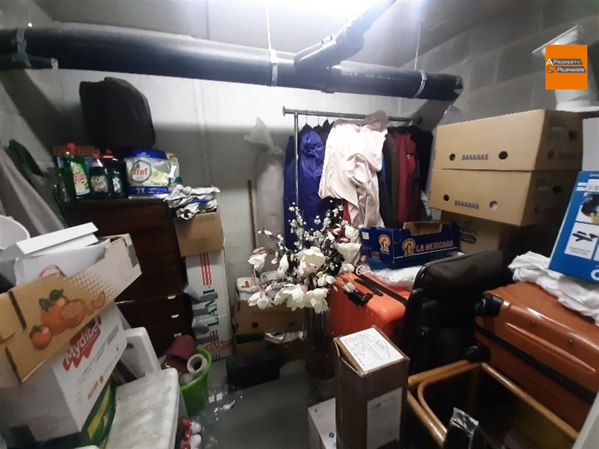 OPTIE : 5 ondergrondse staanplaatsen + 1 kelder foto 8