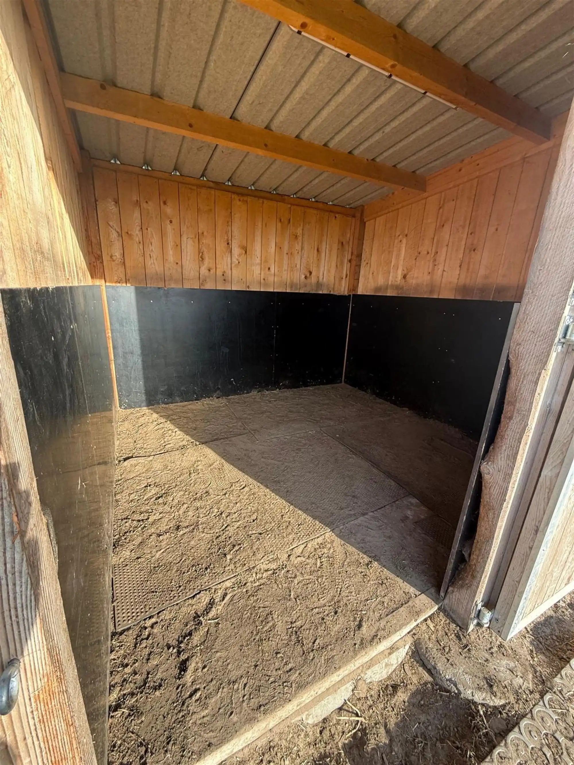 Professioneel omheinde paardenweide met stallen te huur Deinze foto 4