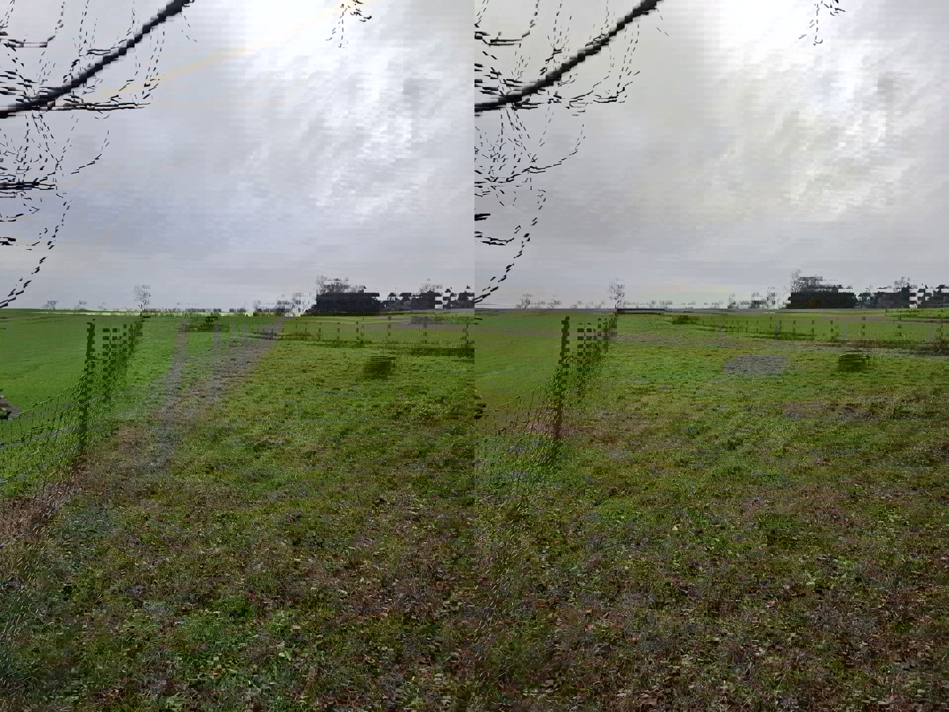 DENDERHOUTEM– Perceel weiland van 29a 50ca foto 6