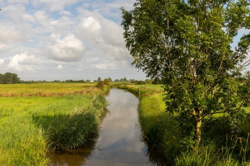 Groot-Diksmuide. Nieuwkapelle. Idyllisch gelegen charmante PAARDENHOEVE MET STALLINGEN, PADDOCK EN WEILAND gelegen in uitgestrekt natuurgebied en waterbeddingen.  UNIEK STUKJE PARADIJS foto 6