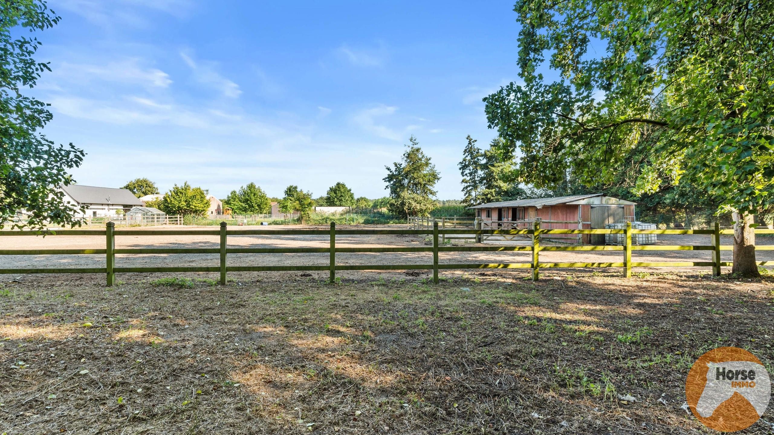 ZELZATE - Landhuis met bijgebouw, zwembad en paardenstallen foto 21