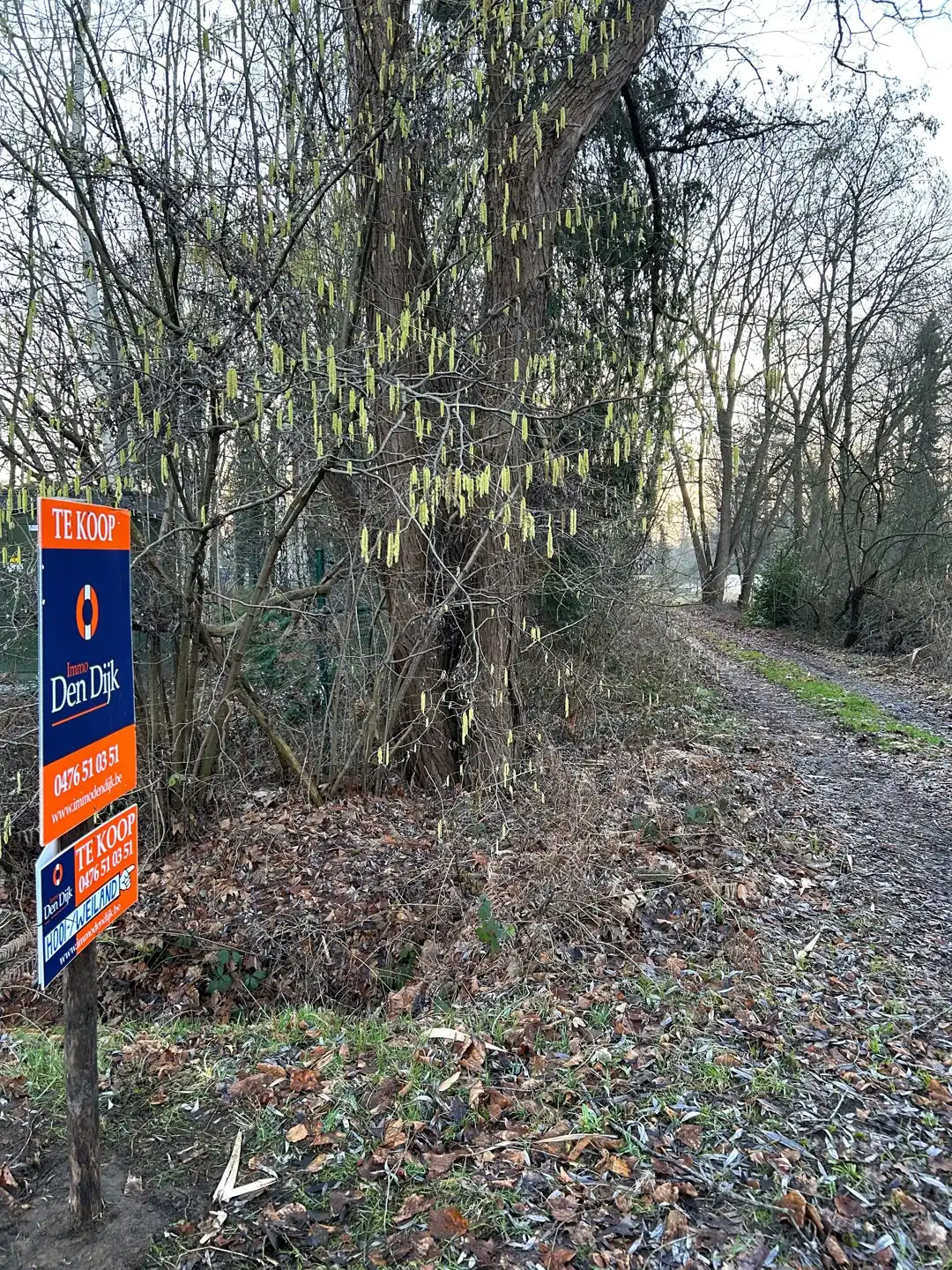 Grond te koop foto 11