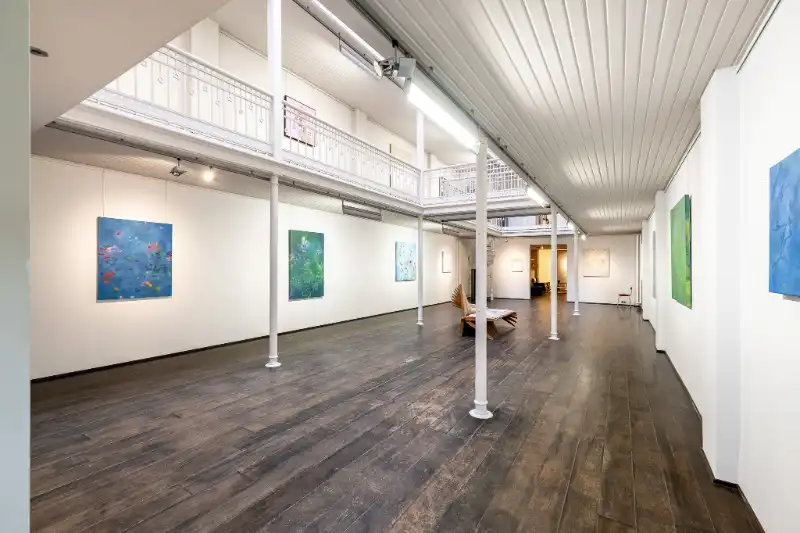 Galerij met authenieke woning! foto 3