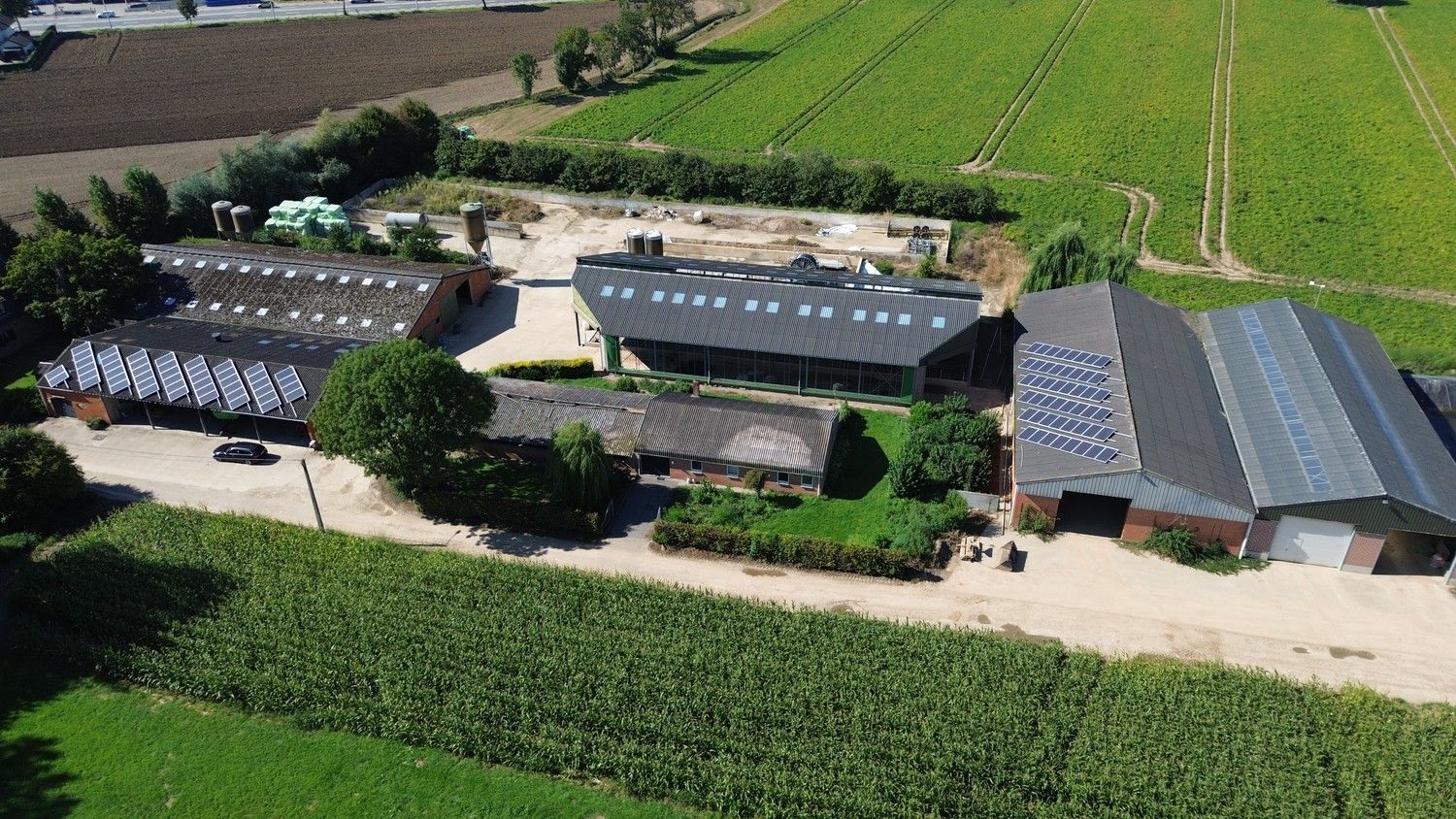 Prachtige boerderij op 1,4 hectare grond in Rekem/Lanaken foto 13