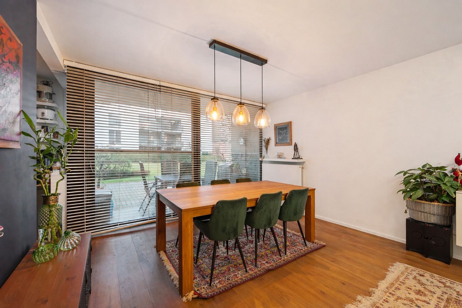 Groen en energiezuinig wonen in alle rust in hartje Antwerpen aan de befaamde Academie foto 7