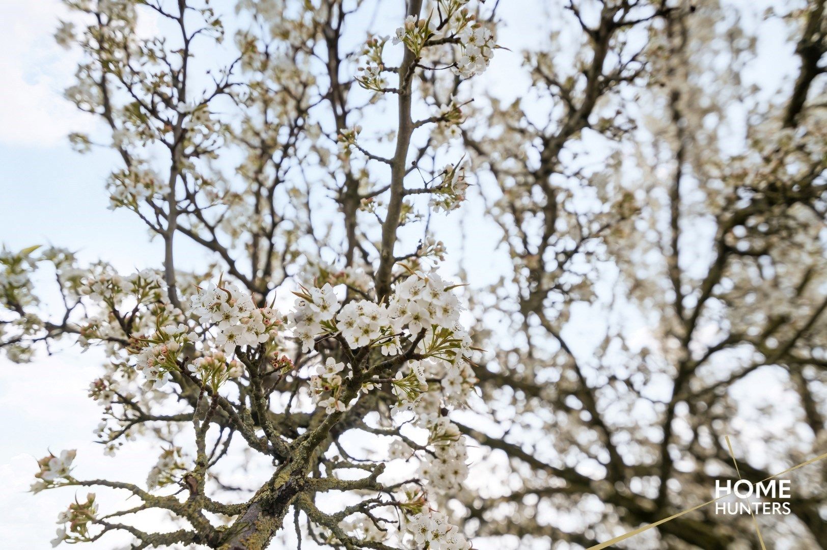 Ideale starterswoning te Hollebeke  foto 21