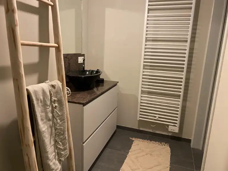NIEUWBOUW APPARTEMENTEN TE HUUR IN HARTJE EEKLO foto 7