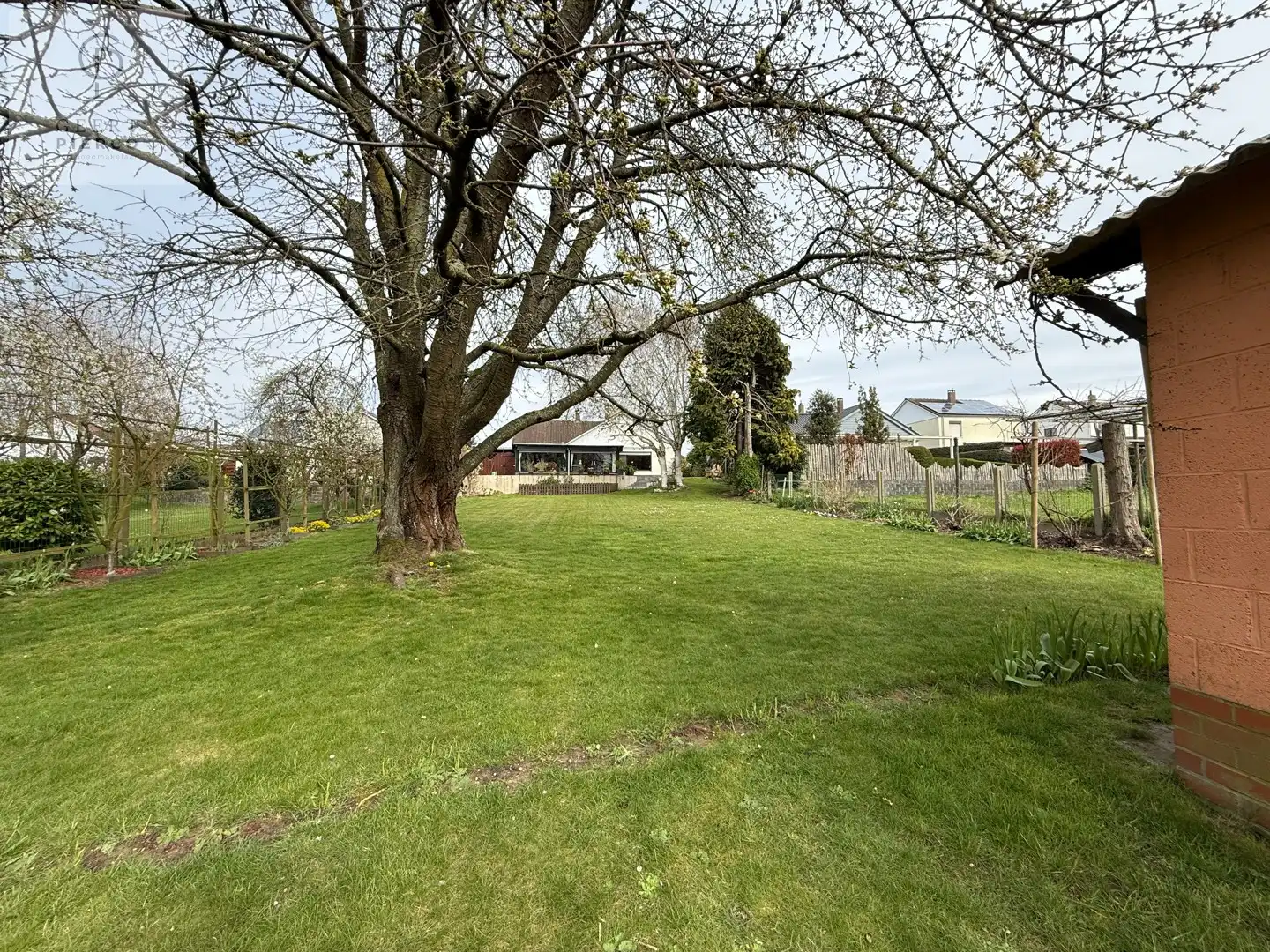 Gezellige bungalow foto 36