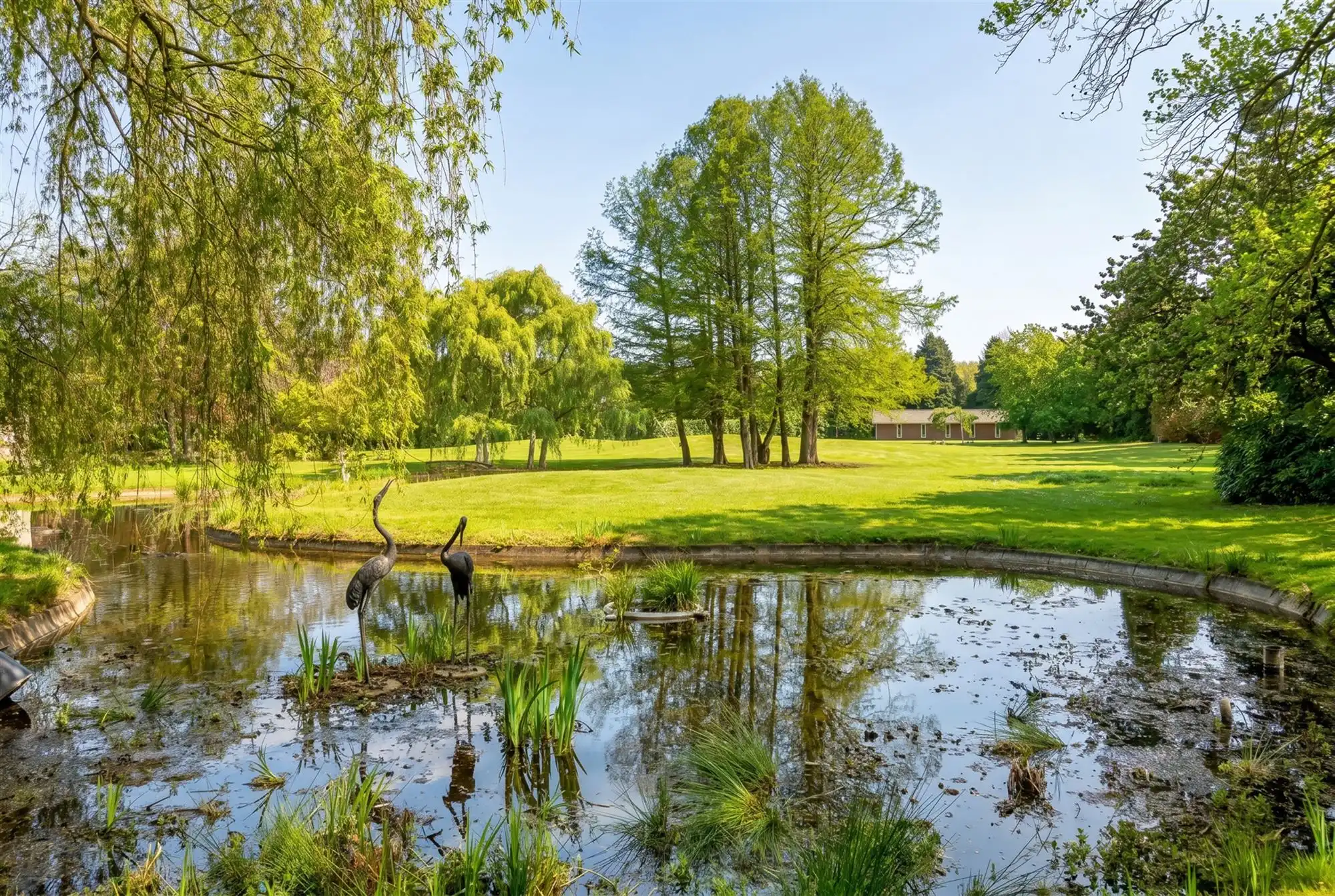 Exclusief landgoed met allure op parkdomein in Pelt foto 80
