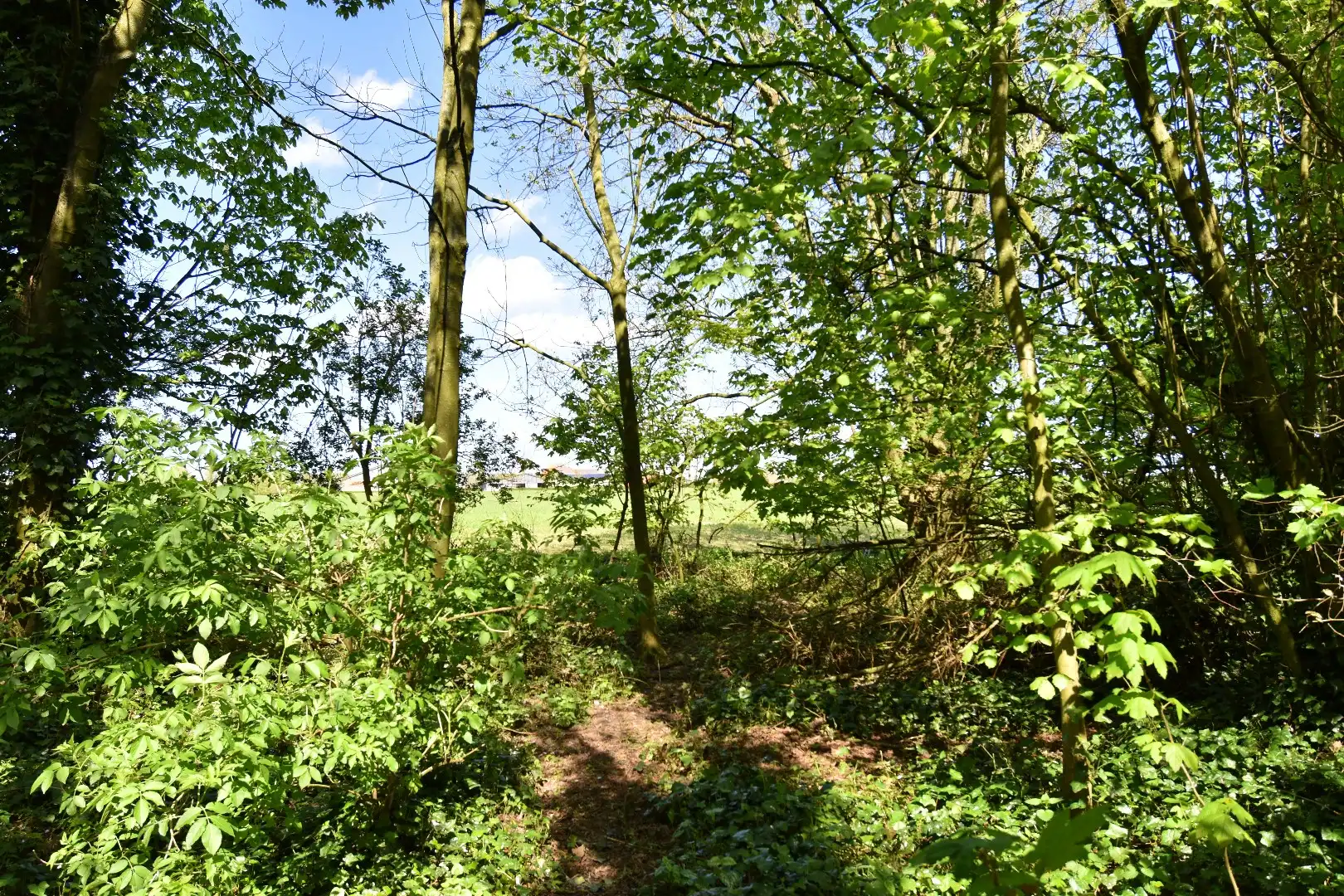 Charmant gelegen eigendom op een perceel van 2.390 m² te koop in het landelijke Rollegem foto 10