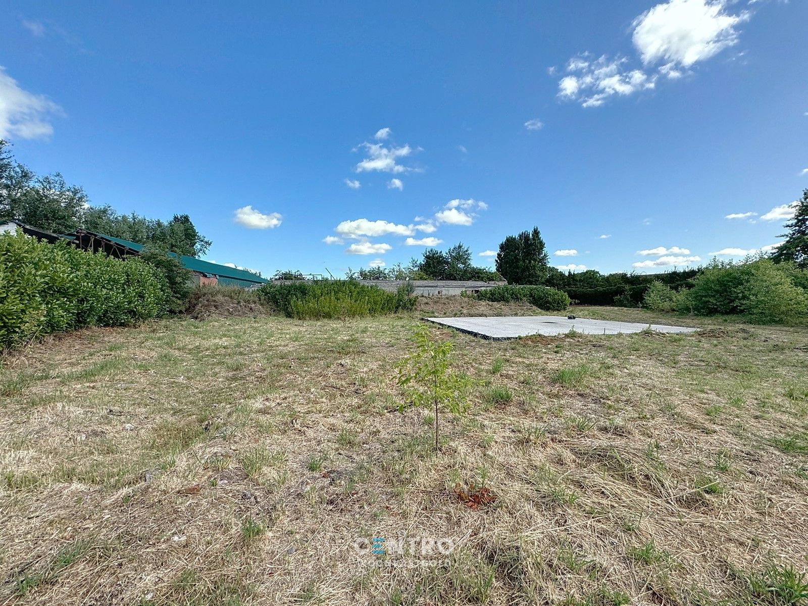 Te renoveren hoeve te Damme op circa 6.850m2! foto 3