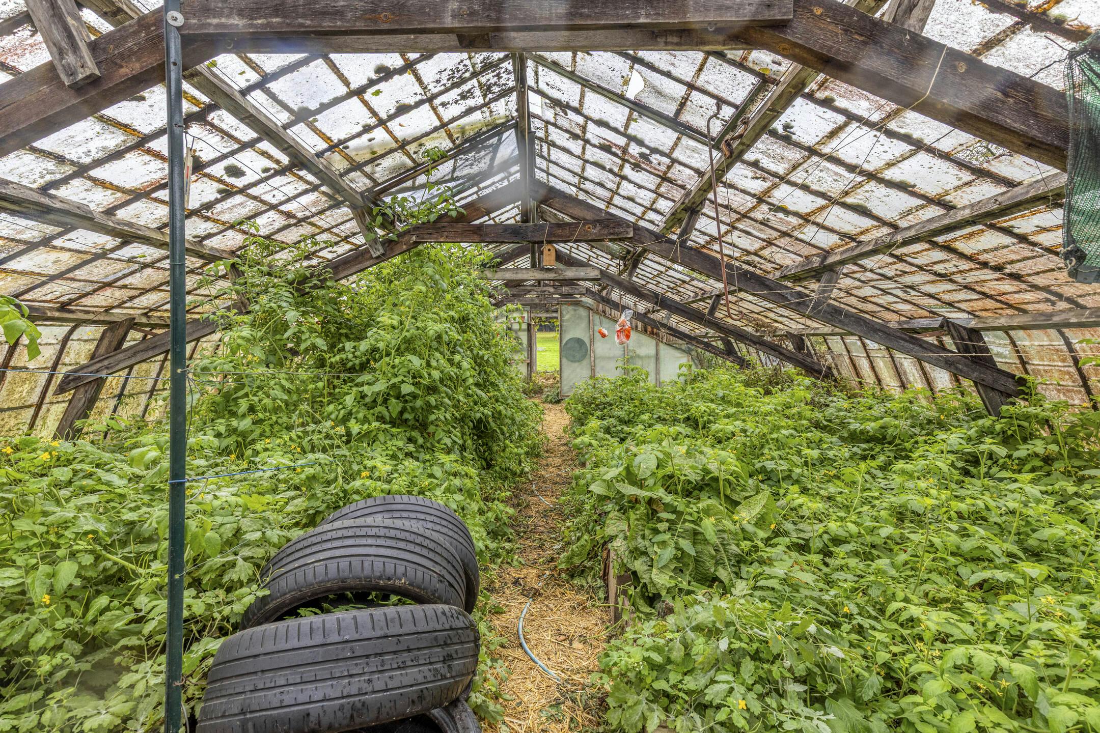 Rustig gelegen huis te koop in Pajottegem foto 20