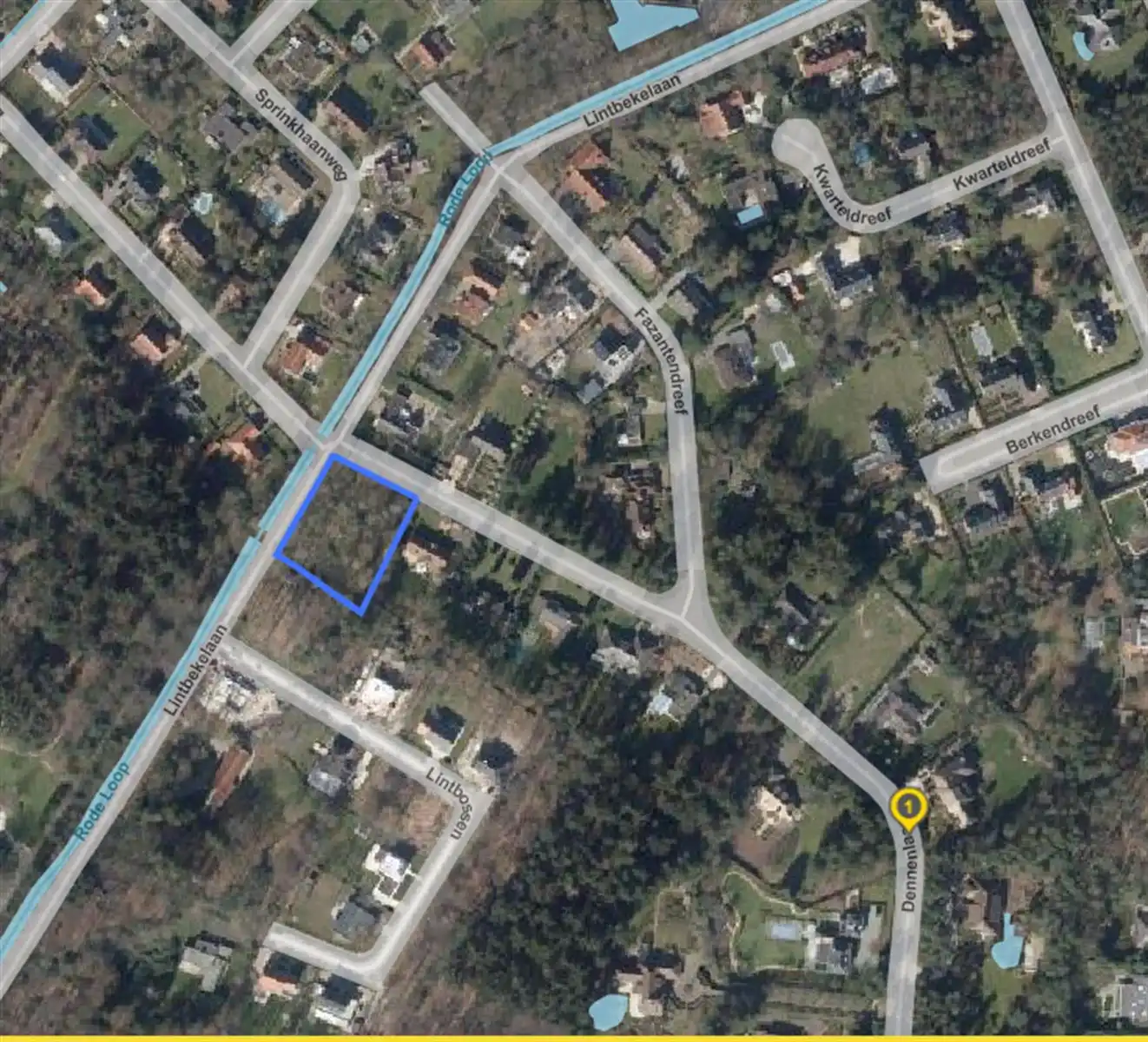 Royaal residentieel gelegen hoekperceel op ca 2437 m² foto 3