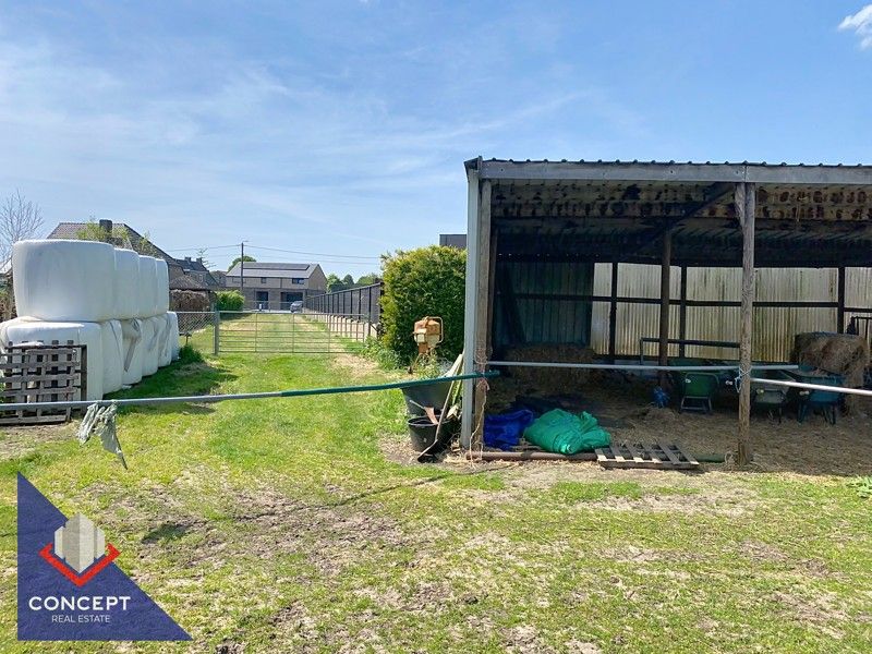 Instapklare woning met 3 slaapkamers met achterliggende paardenweides. foto 41