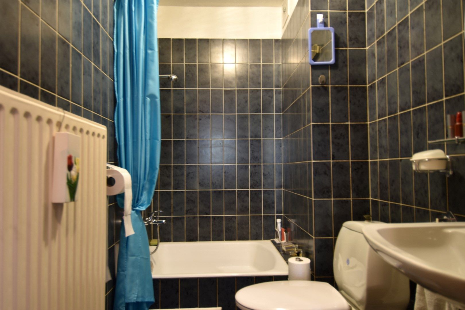 Dakappartement in Harelbeke met prachtig zicht op de Leie foto 5