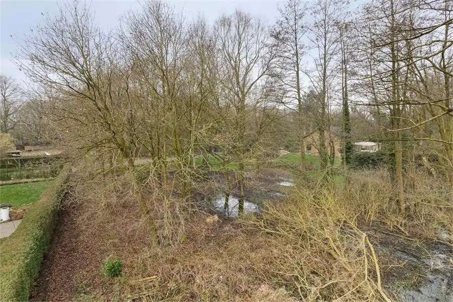 Bouwgrond te koop in Tessenderlo-Ham op perceel van 16a 76ca foto 13