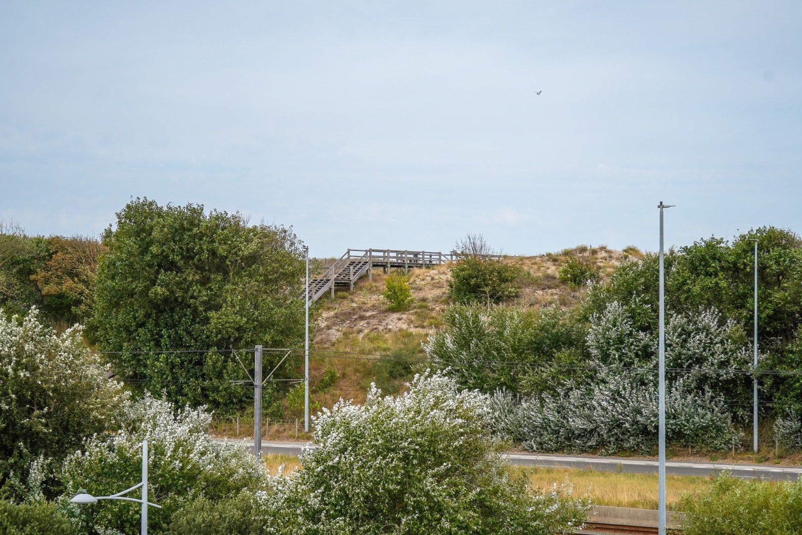 Penthouse met royaal terras en uniek zicht op de duinen foto 10