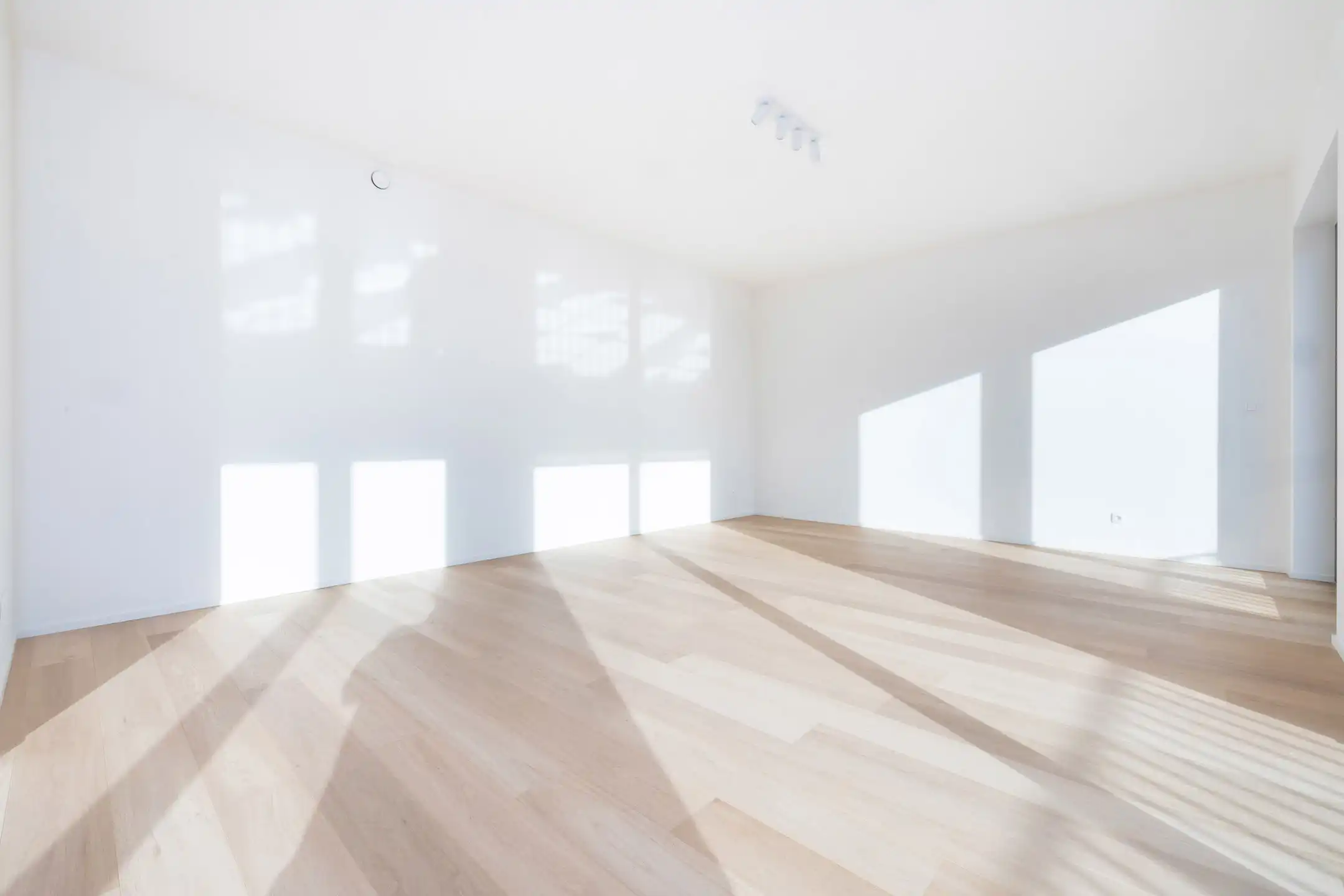 LAATSTE KANSEN ! foto 19