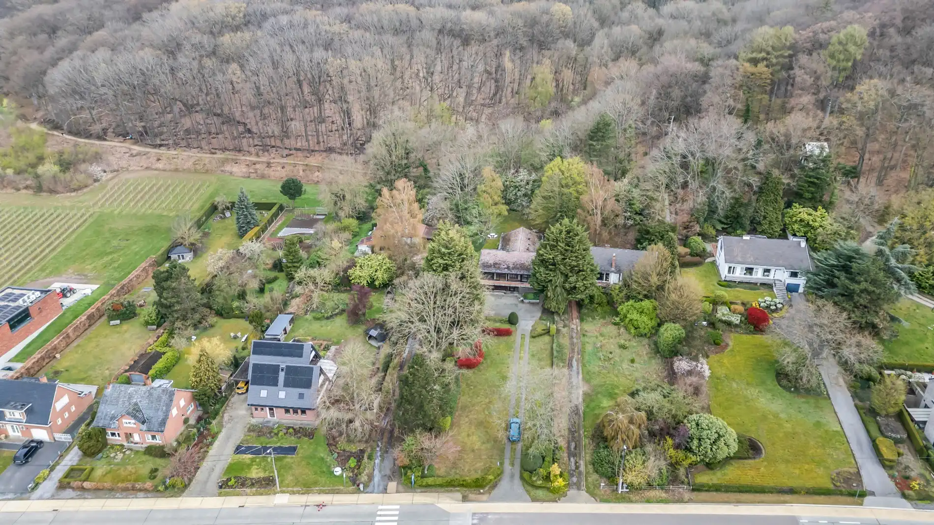 LINDEN - 🌳 villa op +1900 m2 foto 26