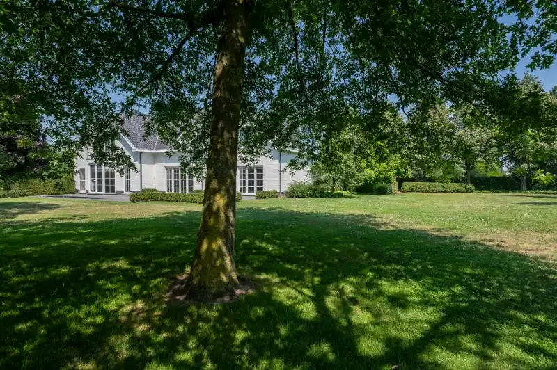 Villa te huur in agrarisch buitengebied van Essen, nabij de grens met Nederland. foto 37