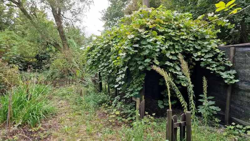 2 grondig te renoveren/te slopen woningen te koop in centrum Vichte vlakbij kasteel Beukenhof! foto 14