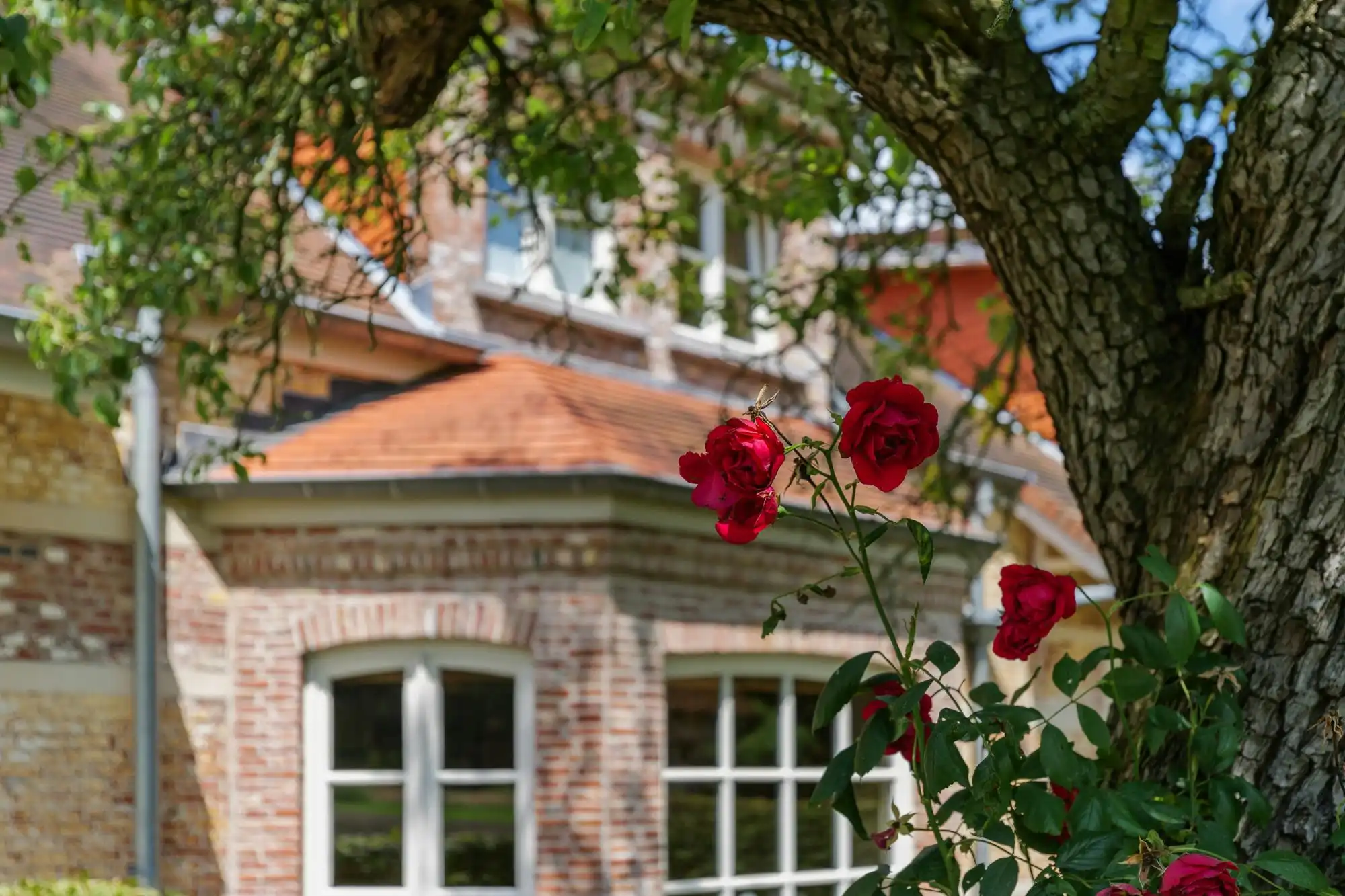 Magnifiek landhuis in een prachtig domein van ca 10ha foto {{pictureIndex}}