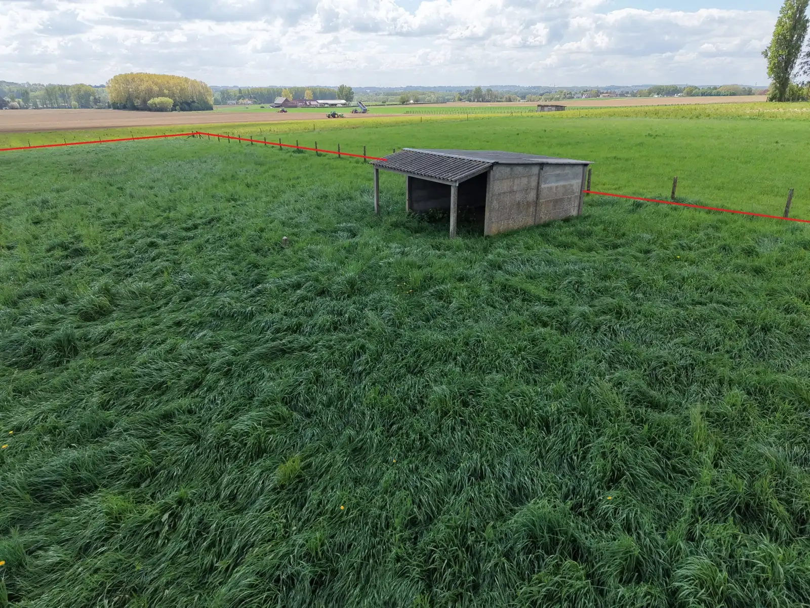 Zeer vlot bereikbare weide foto 2